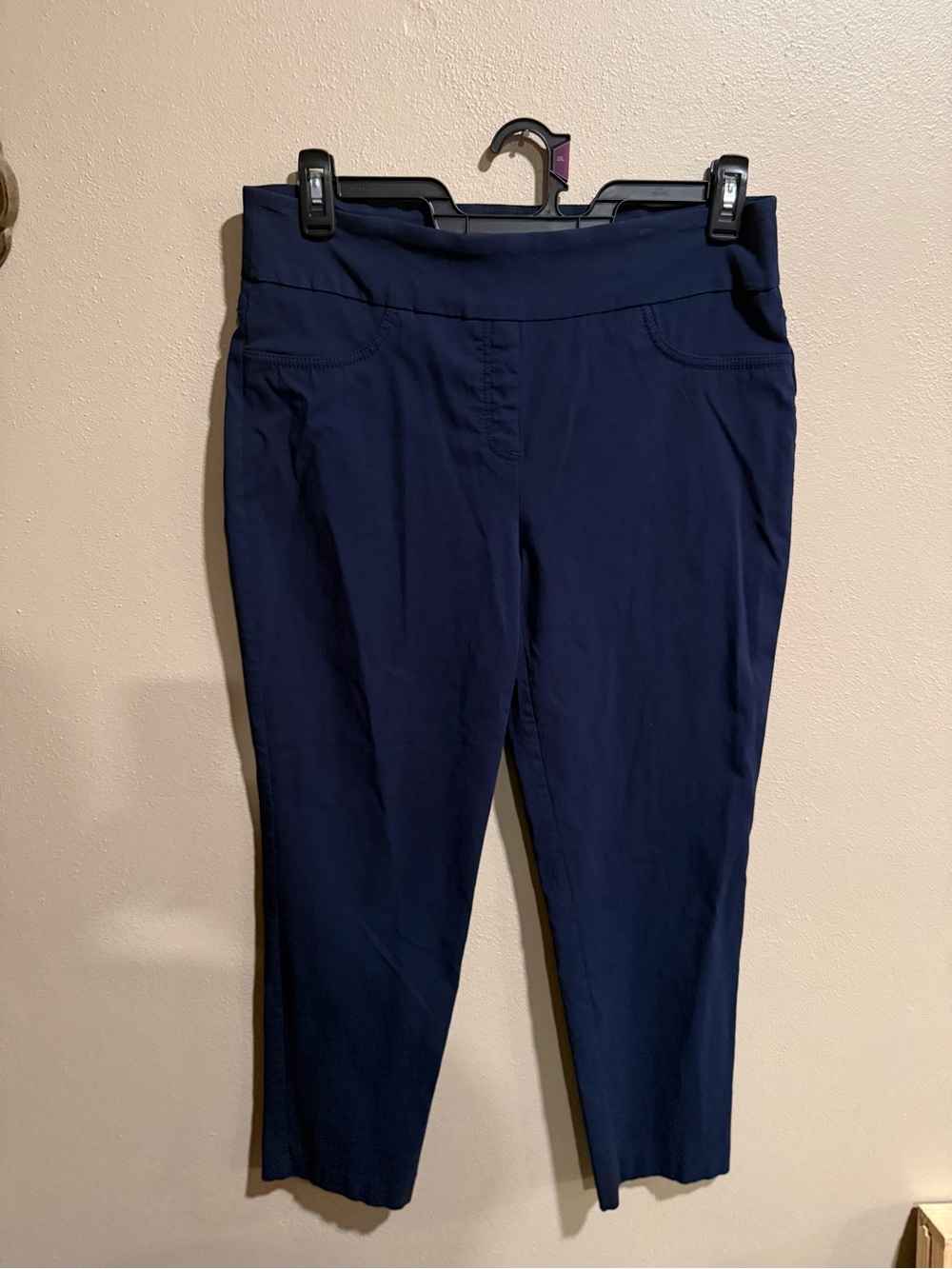 Ruby Rd. Navy Pull-On Cropped Ankle Pants